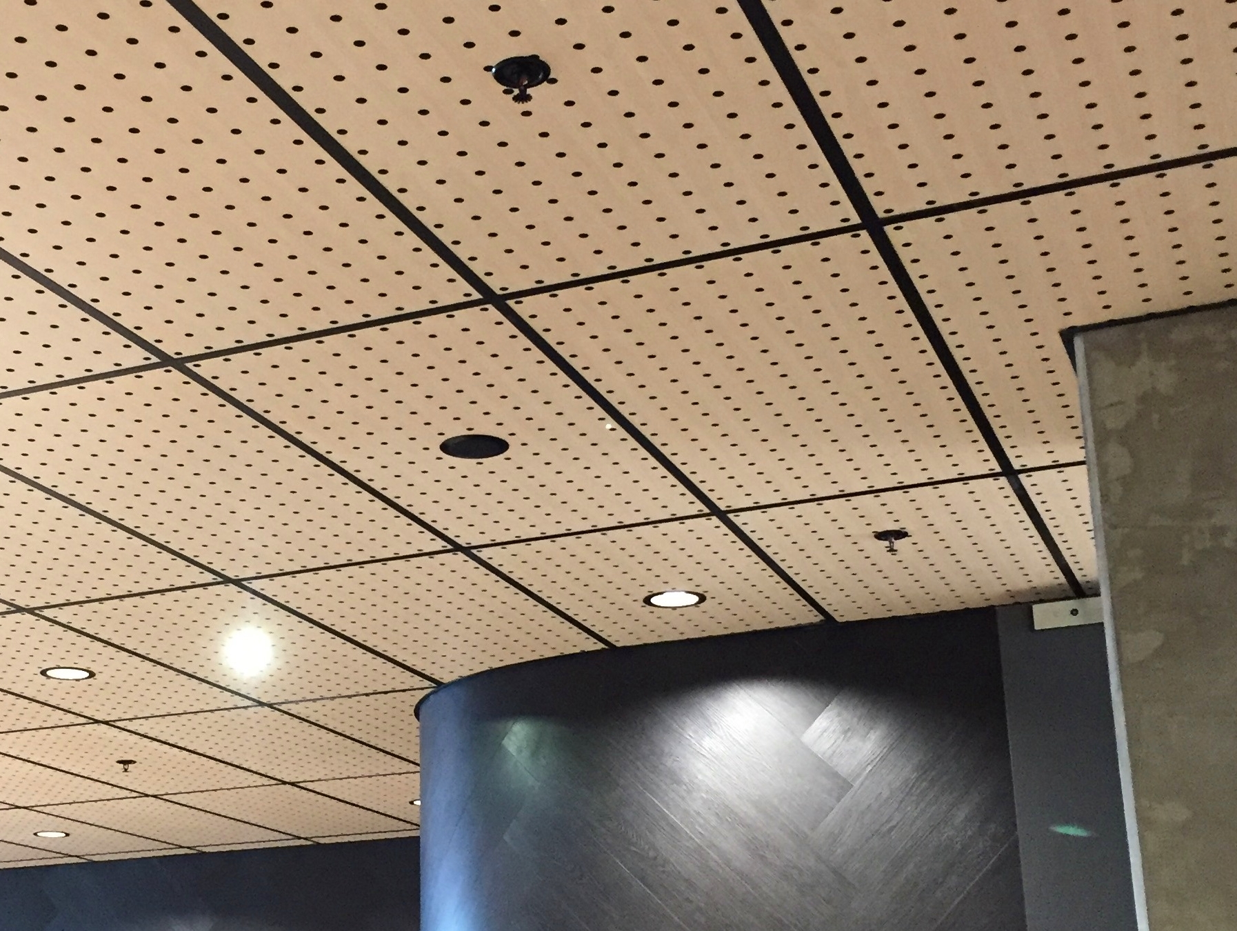 Acoustical Ceiling Supply
