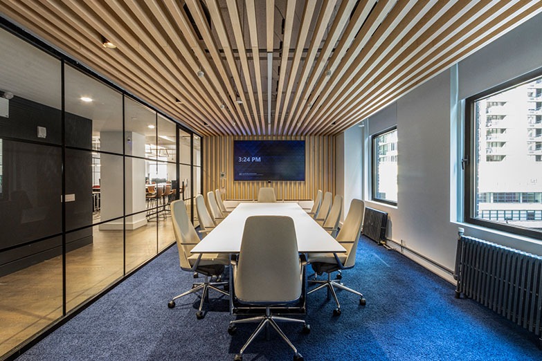 Acoustic Baffle Ceiling