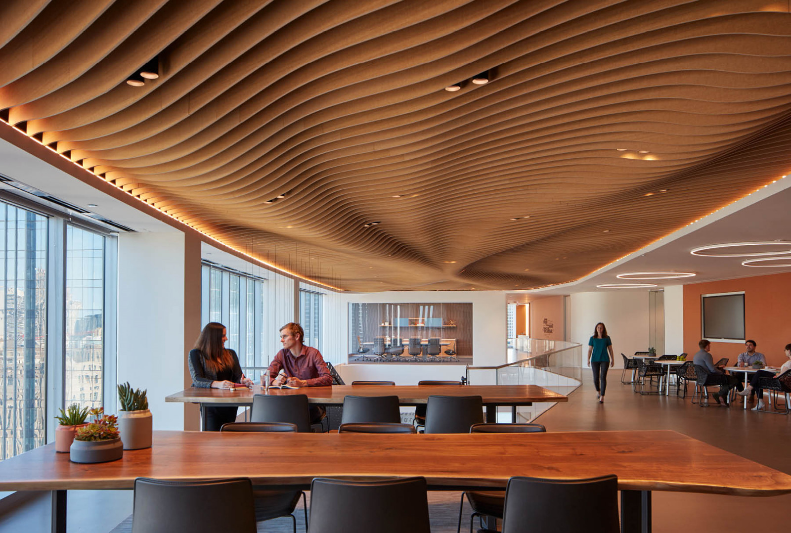 Acoustic Baffle Ceiling