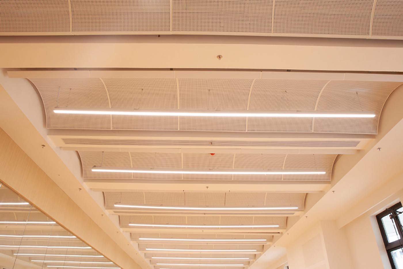Sinis Dongguan BBK experimentalem School laquearia <0000000000> William Project 24
