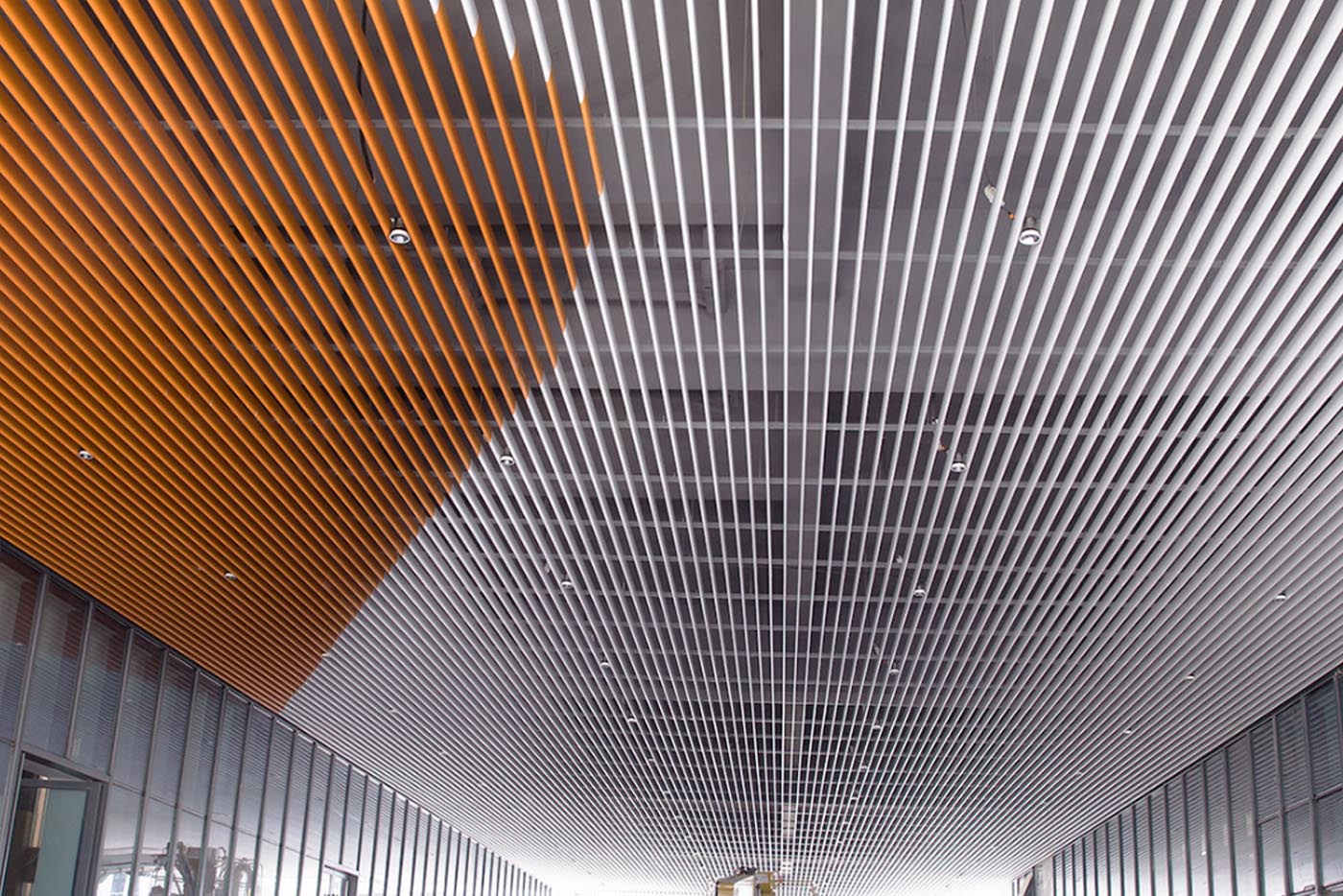 Sinis Dongguan BBK experimentalem School laquearia <0000000000> William Project 27