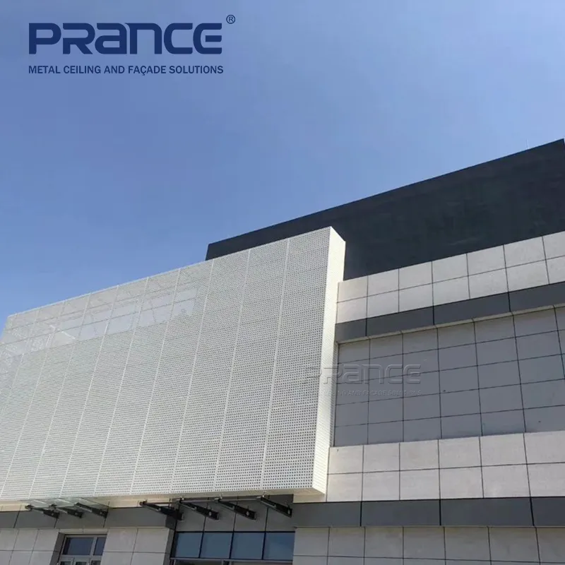 Hotflat Metal Roof Panels PRANCE PRANCE Brand 5