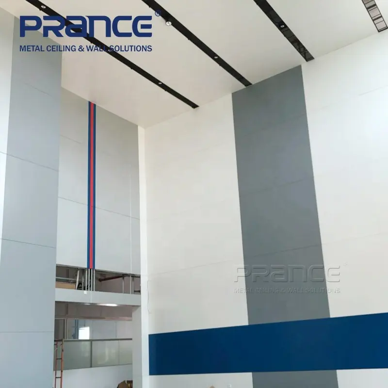 Hotflat Metal Roof Panels PRANCE PRANCE Brand 4