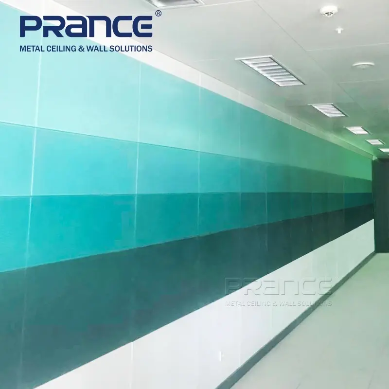 Hotflat Metal Roof Panels PRANCE PRANCE Brand 3