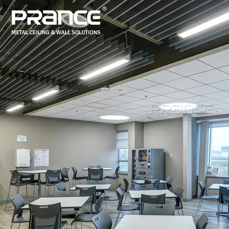 Custom Baffle Ceiling High-quality Manufacturer | PRANCE 6