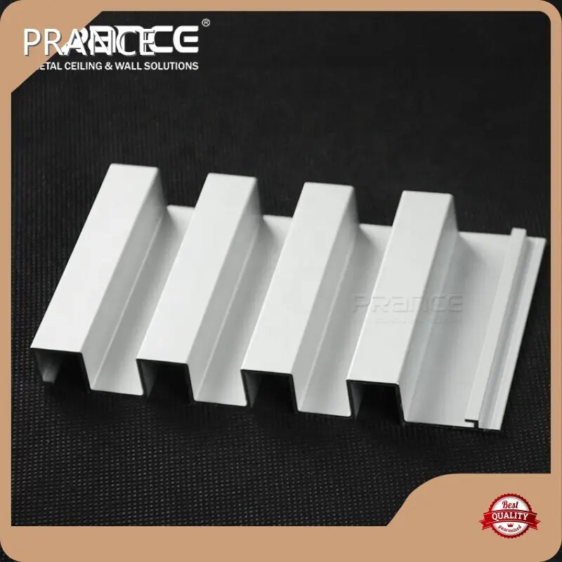 Panel Metal Great Wall Tidak Retak dan Tidak Ada Penghapusan Film PRANCE Brand Company Watchband Panel PRANCE 1
