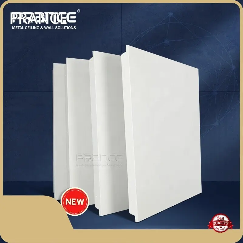 Clip in Ceiling System Clip in Ceiling Coating/Pre Paint شرکت PRANCE 1