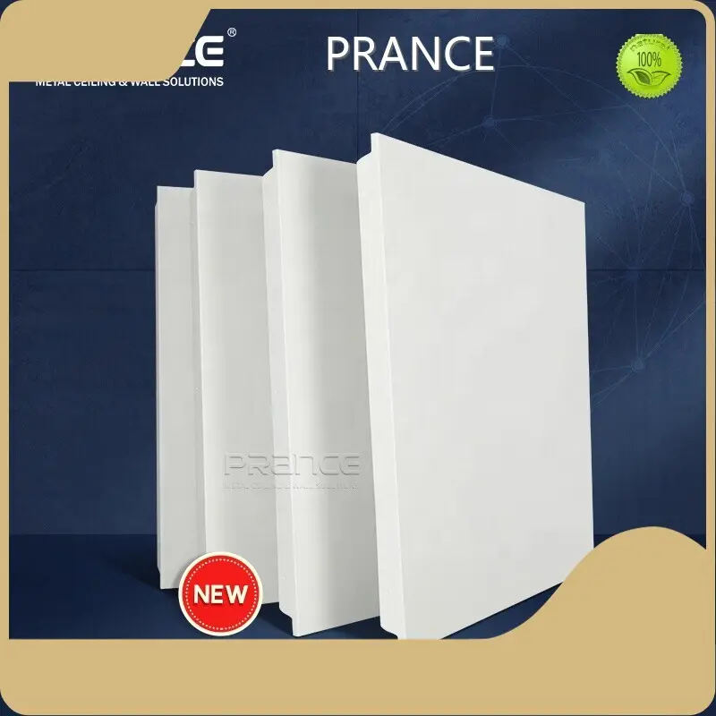 Klip di Plafon Aluminium Tahan Air untuk - PRANCE 1