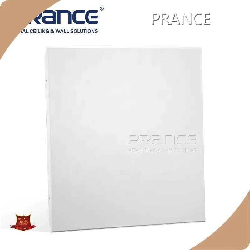 گیره سفارشی در سقف فلزی PRANCE جدید 1