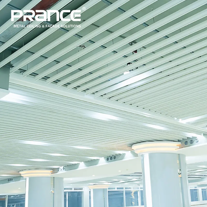 عمده فروشی پانل های سقفی فلزی با روکش پودری - PRANCE 7