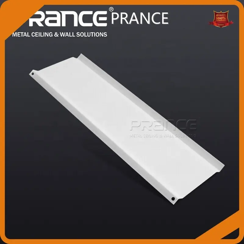 Pembuatan Plafon PRANCE a-baffle Terbaik 1
