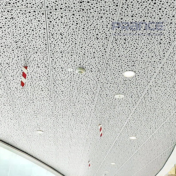 Siebplatten aus Aluminium mit perforiertem Muster aus Metall 1