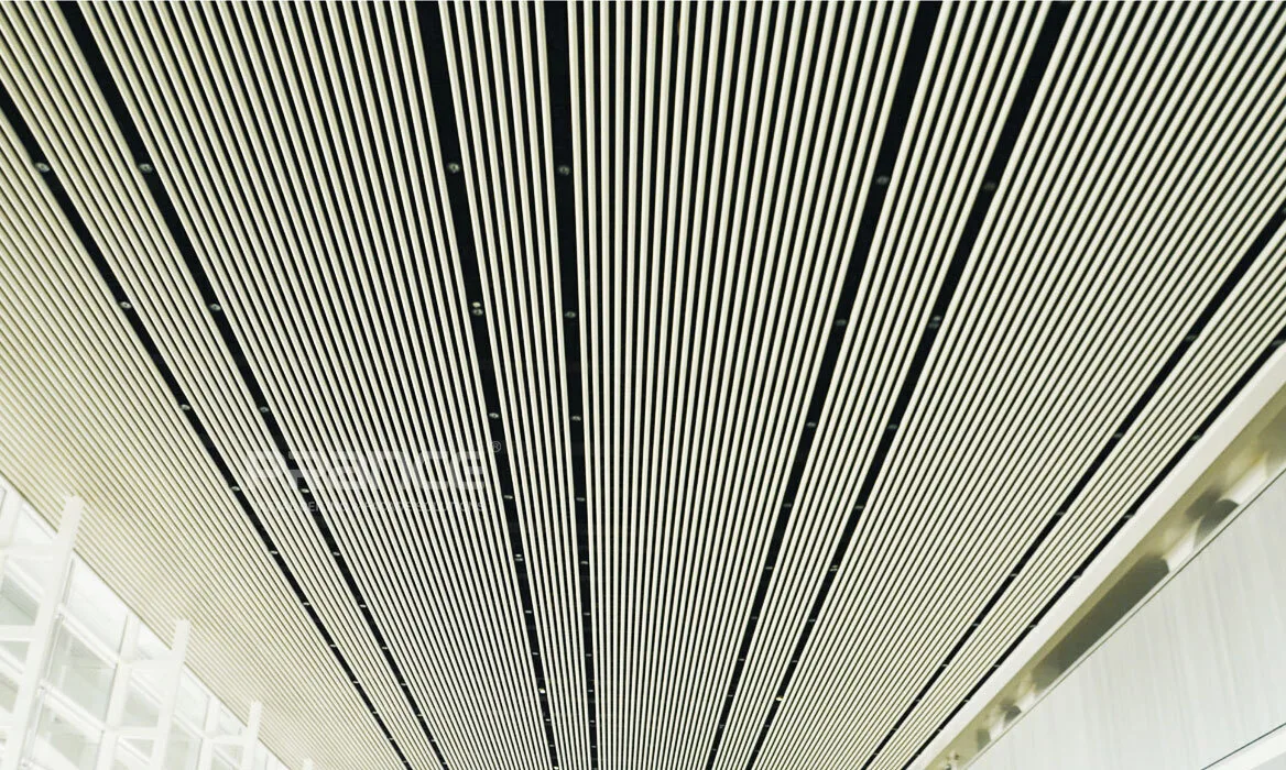 Cladding ceiling panels 1