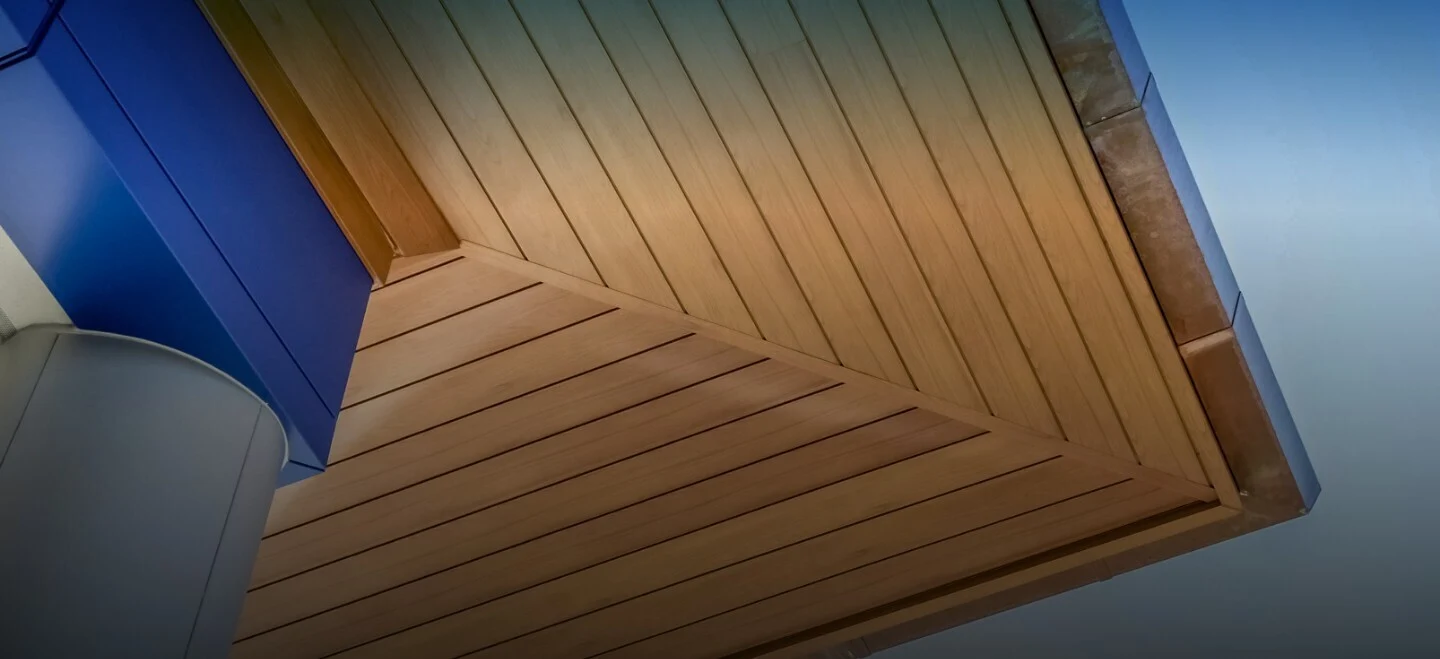 Outdoor ceiling panels